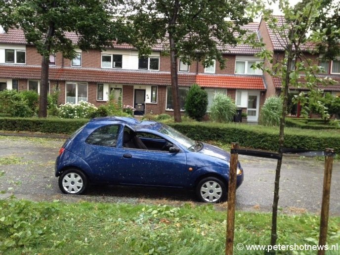 Boom op auto op de Viergang in Mijdrecht, foto Willem Meints