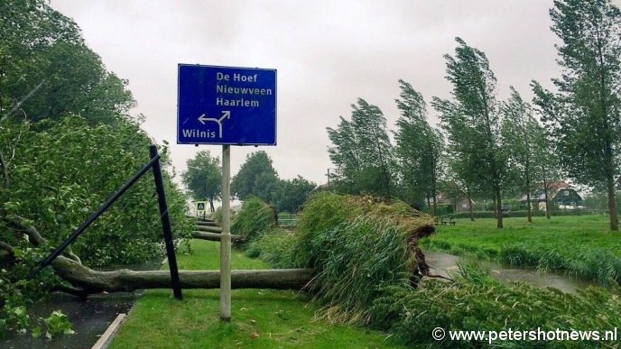 Rij bomen omgevallen op Dr van der Haarlaan Mijdrecht bij de Oosterlandweg, foto: stefan meilof