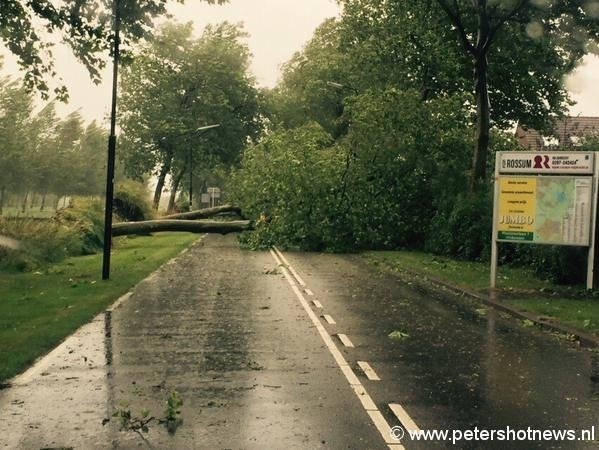 Van der Haarlaan Mijdrecht / Foto: @EllenHuiz