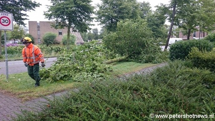 Viergang Mijdrecht