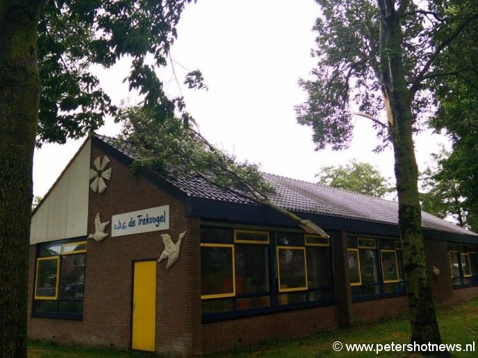 Een tak op basisschool De Trekvogel in Mijdrecht