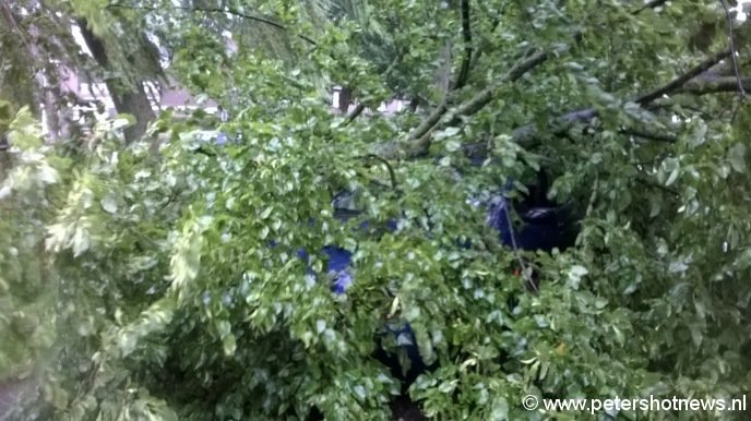 Auto onder een boom, Viergang Mijdrecht, foto Sandra van Ooijen