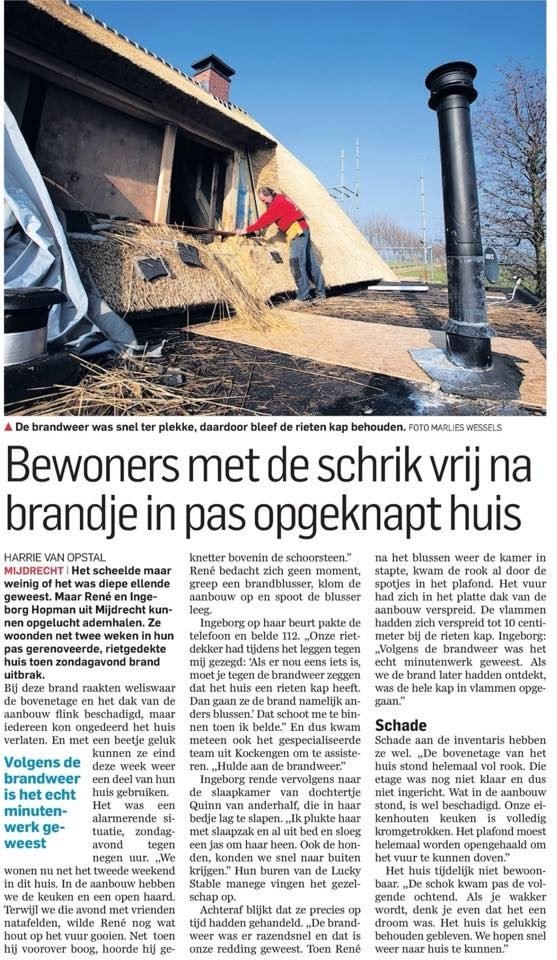 Artikel AD 17-02-2015