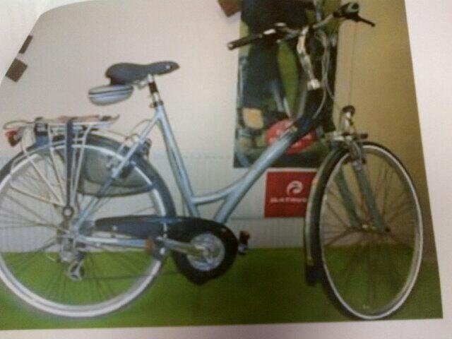 Deze fiets is maandagnacht gestolen in de wijk Molenland.