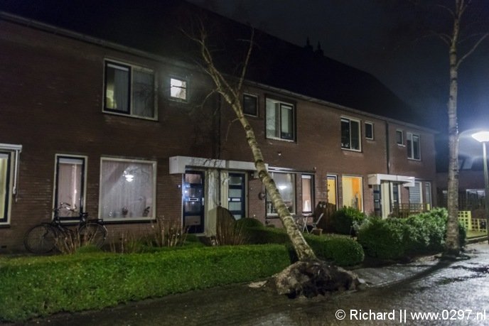 Op de Grondzeiler in Mijdrecht is donderdagavond een boom tegen een woning gewaaid.