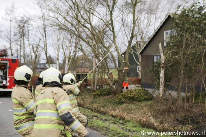 N201 Vinkeveen