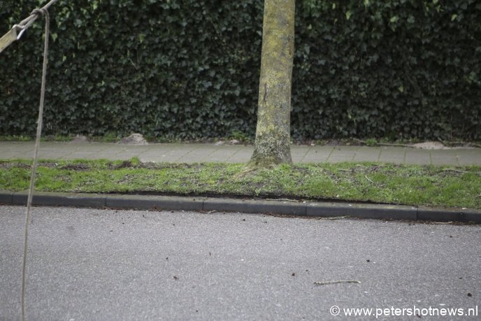 Gemeeneland Vinkeveen, de boom kwam los