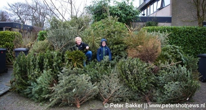 Oscar (10) Casper (7) haalden 100 bomen op in de buurt van de Pastoor Kannelaan in Wilnis