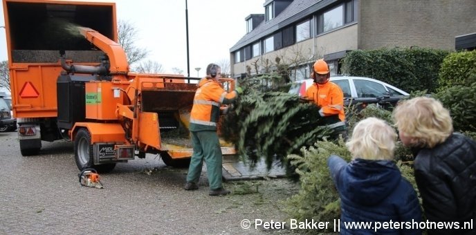 Kannelaan Wilnis, 100 bomen