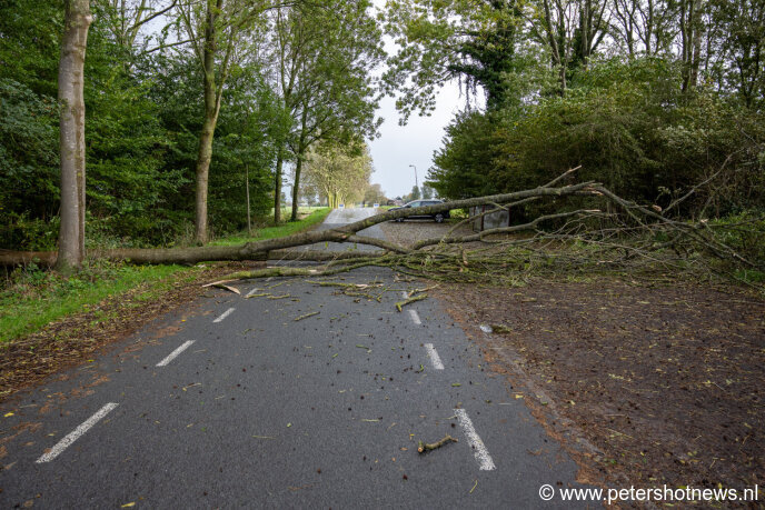 Boom valt over weg in De Hoef