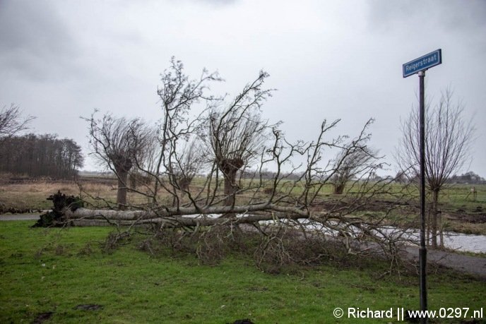 Boom omgewaaid Vinkeveen