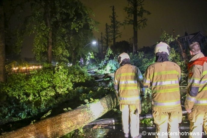 Brandweer begint om alle bomen op de Reigerstraat Vinkeveen weg te halen