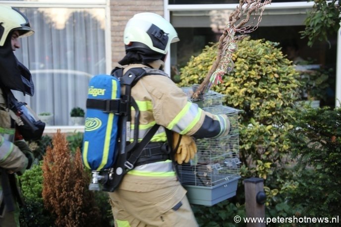 Brandweervrouw brengt een vogel in veiligheid